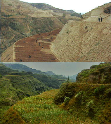 Large scale restoration of the Loess Plateau in China has seen the return of ecological functions and a productive farming system. Source: ecosmagazine.com